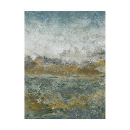 Tim Otoole 'Aquatic Range I' Canvas Art,14x19